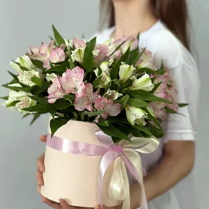 13 альстромерий в коробке