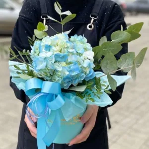 Гортензия в шляпной коробке